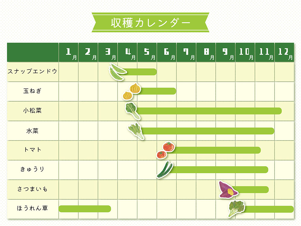 11月に植える野菜初心者がプランターで簡単に育てられる野菜7選コーナンTips