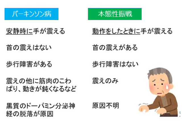 箸の持ち方緊張で口が震えるレストランシーン