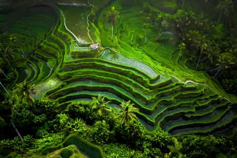 テガラランライステラス口コミ！入場料、ブランコ、ランチカフェ、1人は辛いよレビュー - 旅好きアラサー女子の世界一周ブログ