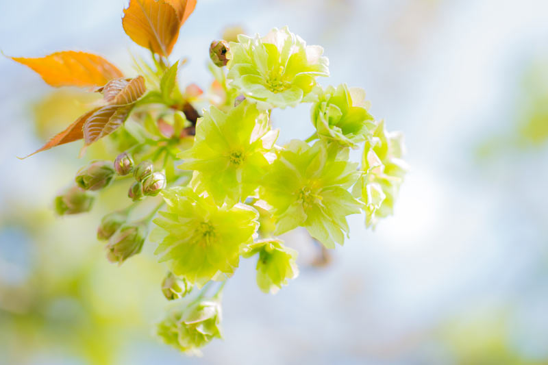 Twitterで懲戒処分された共同通信記者の“奇妙すぎる習性”「社用メールに“モールス記号”でメッセージ」「女性記者にFAXで何度もラブレター、お中元にはアレを 」文春オンライン