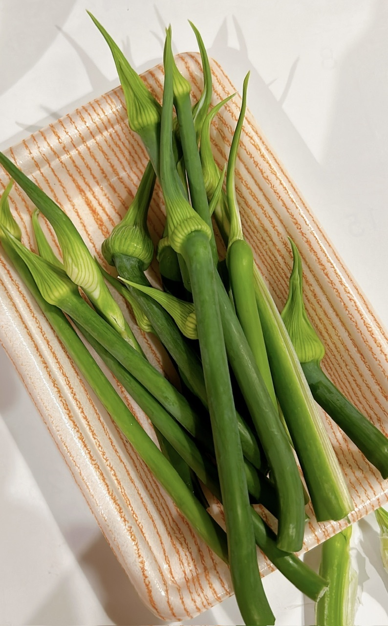 新玉ねぎの葉っぱ」は、食べられるの？食べられないの？選び方も元スーパーの店員が解説！ ぱるとよ- エキスパート - Yahoo!ニュース