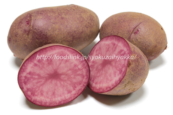 赤いじゃがいも『アンデスレッド』～特徴や食べ方を見てみよう～ずーやのメモ帳
