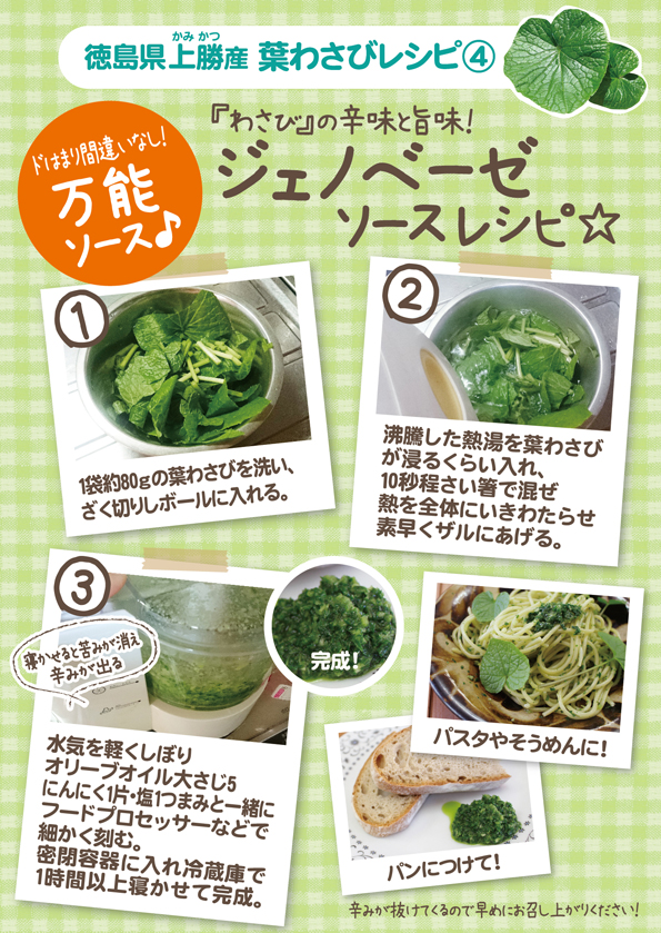 野菜ソムリエが解説 葉わさびの下処理方法＆おすすめレシピ3選