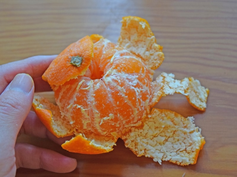 皮をむくのが楽しくなる♪みかんのおもしろいむき方4選mamatas ママタス