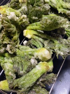 タラの葉とナズナ春のナムルの天ぷら