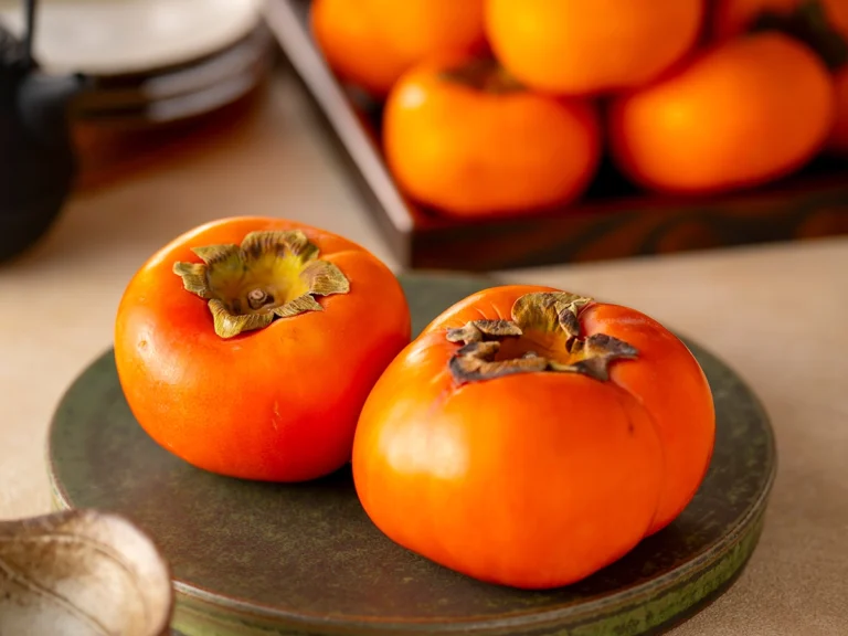 柿の博物館第3回 干し柿の保存・食べ方・白い粉の正体 公式ブログ 柿の専門柿の専門 ブログ