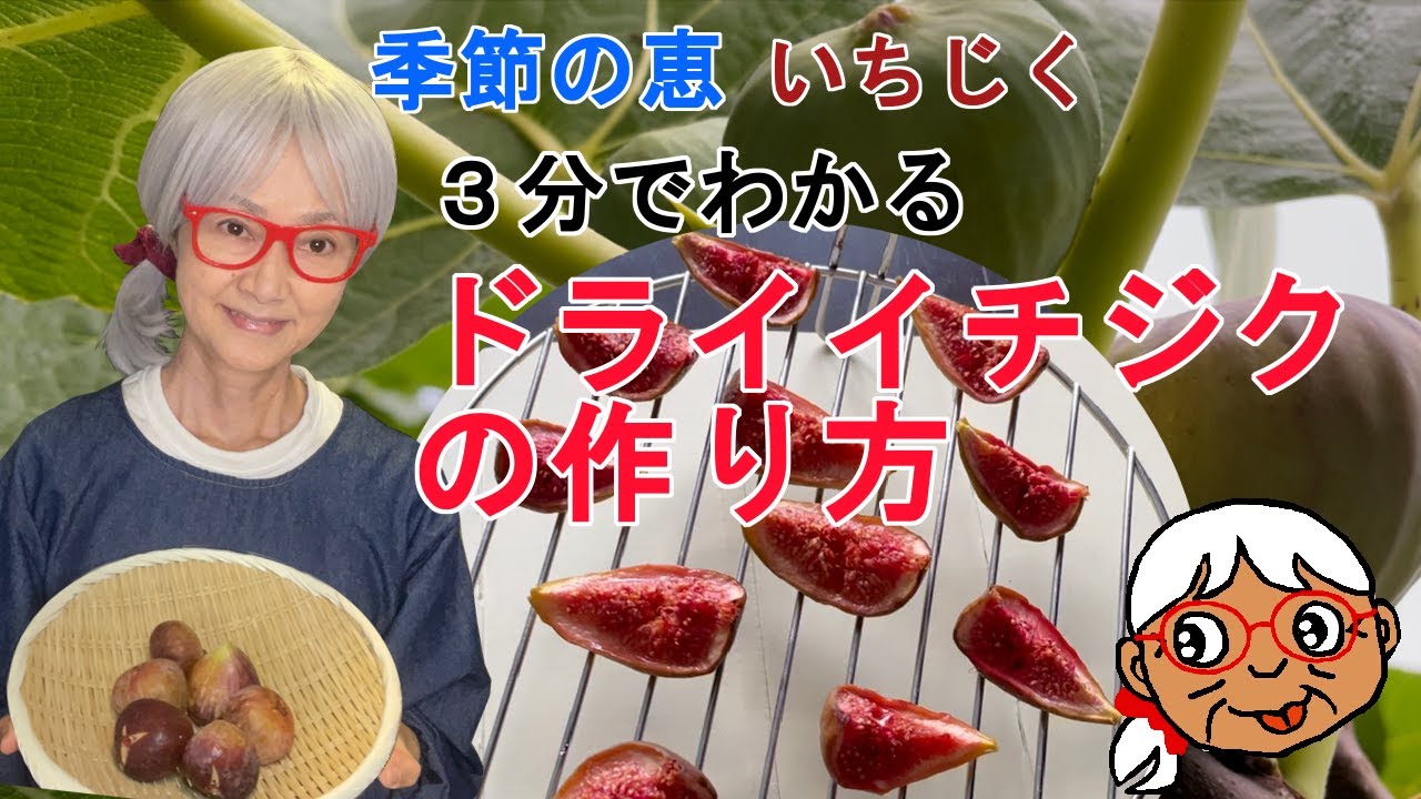 干しいちじくの作り方天日干しシニアライフ