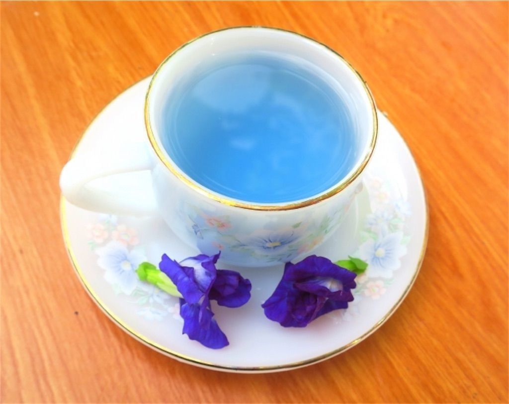 透明粘土 すけるくん粘土 で作った青いフルーツhandmadehandcrafthandcraftedhandcrafts手芸食品サンプル食品サンプル作りハンドメイドハンドクラフトおゆプラおゆまるさくらんぼ手作りダイソーおゆまる