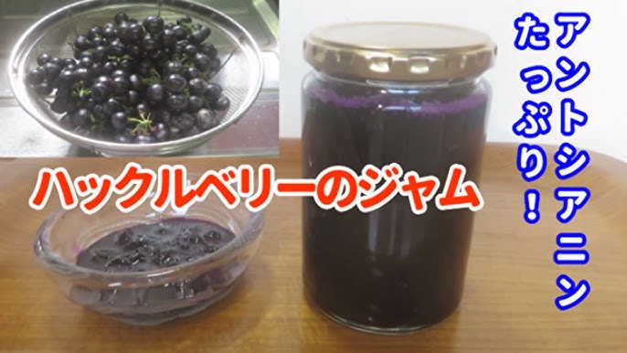 ガーデン・ハックルベリーの完熟の見極め方とジャムの作り方：旬の果物百科