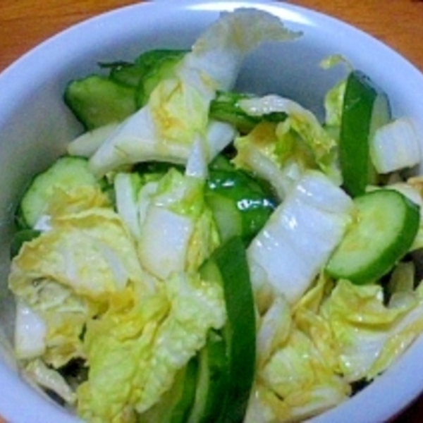 白菜 はくさい の浅漬け