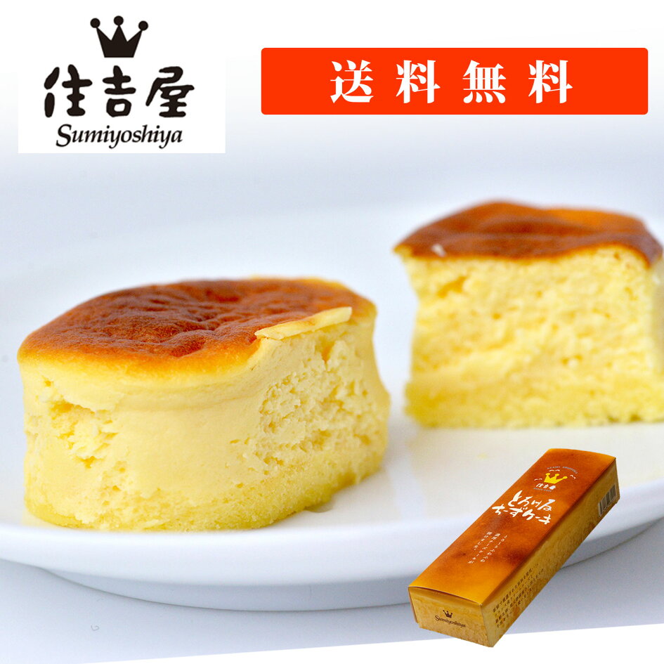 美味しいチーズケーキ 住吉屋のとろけるチーズケーキ 15個入りフランス産キリーチーズと丹那牛乳使用