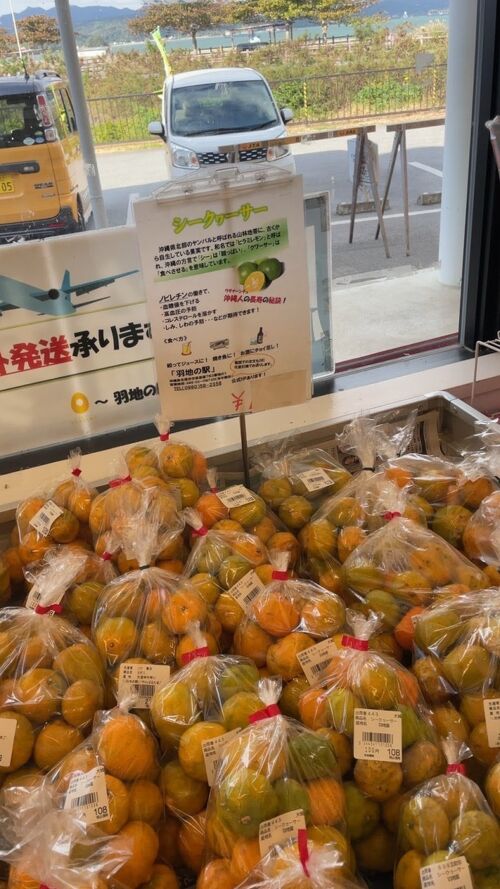 タルガヨーの魅力: 沖縄の自然が育んだ独特の甘酸っぱさ沖縄県 恩納村 産直市場 - おんなの駅 なかゆくい市場