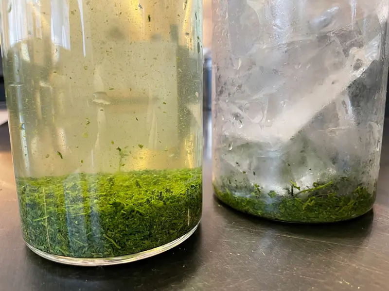 美味しい温かいお茶の淹れ方