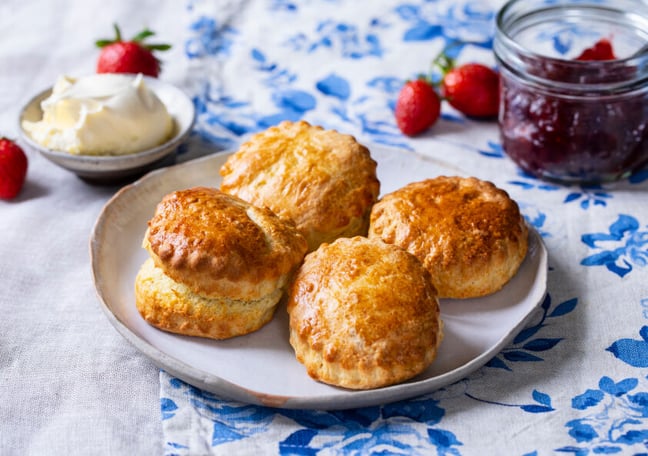 静岡市葵区 スコーン愛あふれる 専門店「 Y to C 」リビング静岡Web