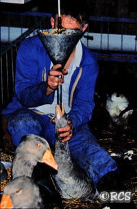 フォワグラとは？美味しいの？どこで食べられる？プロのレシピ La Table