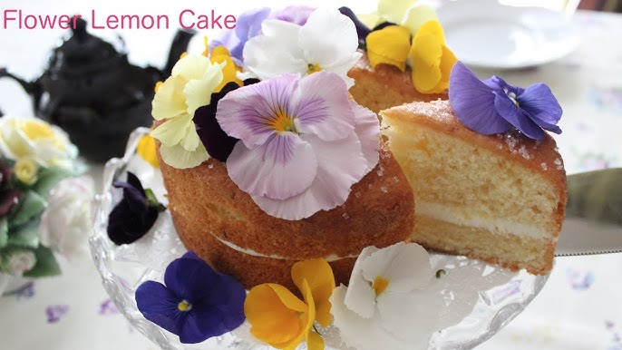 400万回再生人気レシピ 知らないと損する究極のチーズケーキの作り方