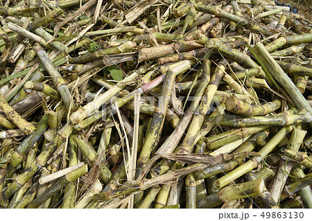 シュガーケーン デニム SUGAR CANE 砂糖黍製 14oz. 琉球藍混