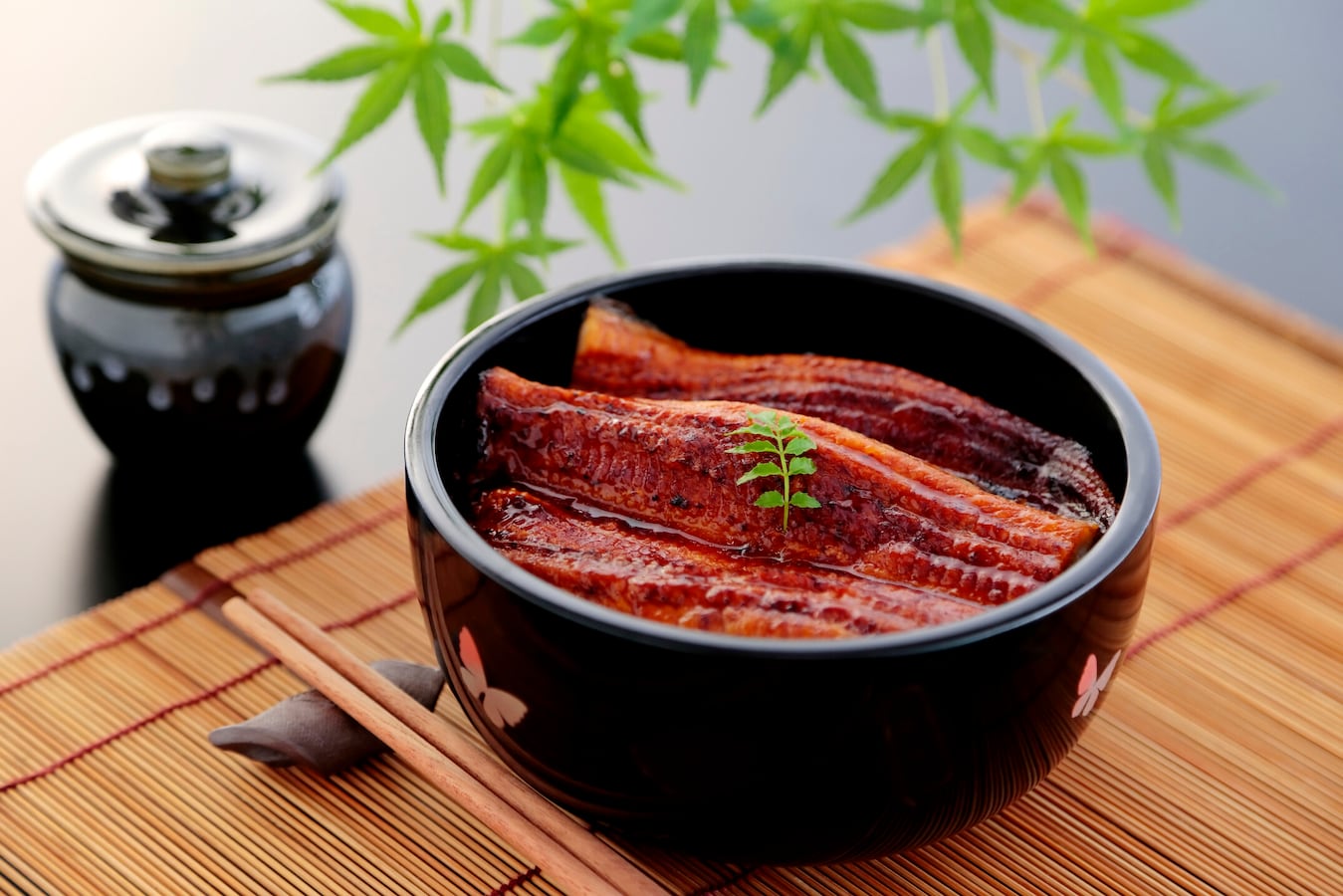 お腹いっぱい食べて健康的にダイエット！ 『管理栄養士rinaの もりもり食べても太らないおかず』が6月24日に発売！商品・サービストピックスKADOKAWAグループ ポータルサイト