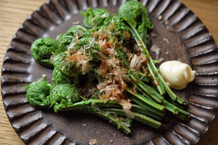 今日の収穫とその後 コゴミの天ぷら: ゆきだより日々つれづれ