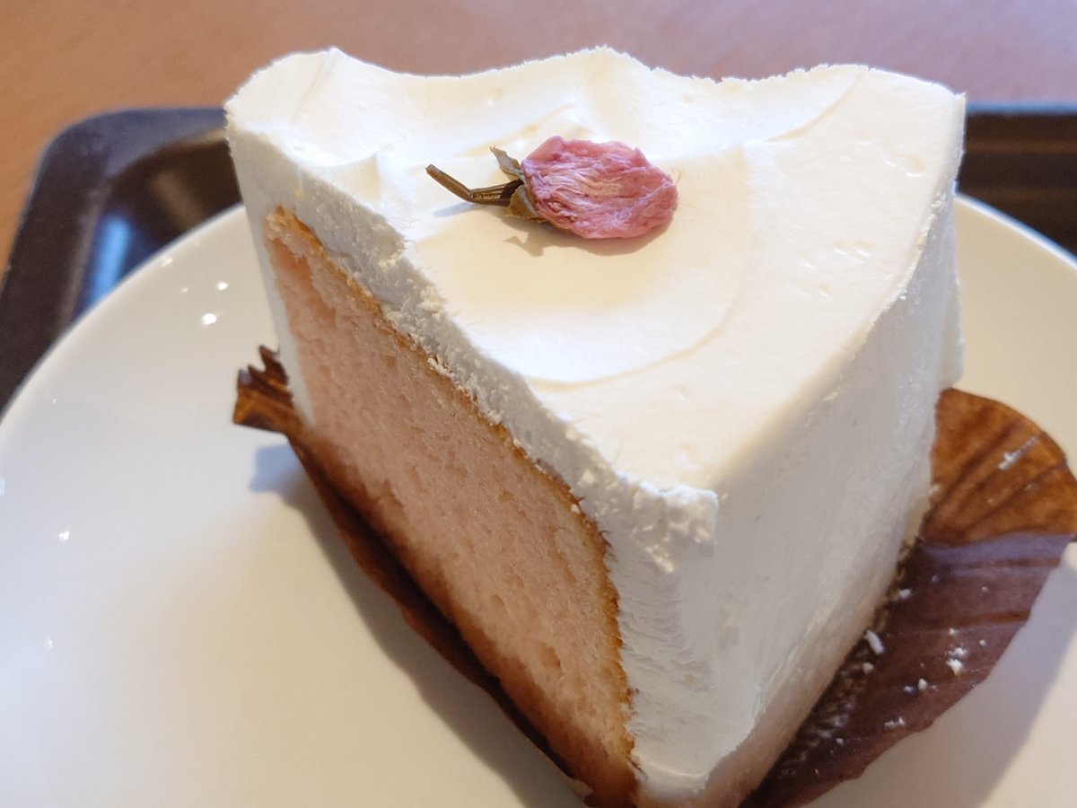 スタバのさくらシフォンケーキは美味しい？カロリーや食べた感想主婦めせん
