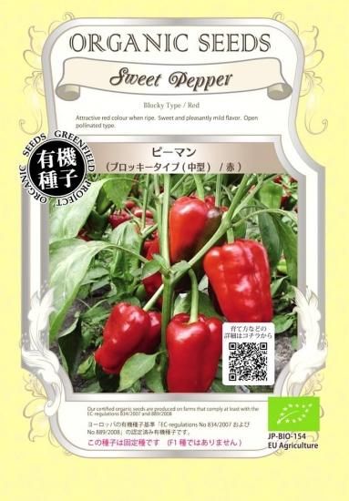 夏野菜の主役！ナス科の野菜で美味しく夏バテ解消！三木市志染駅 さーふ整体整骨院