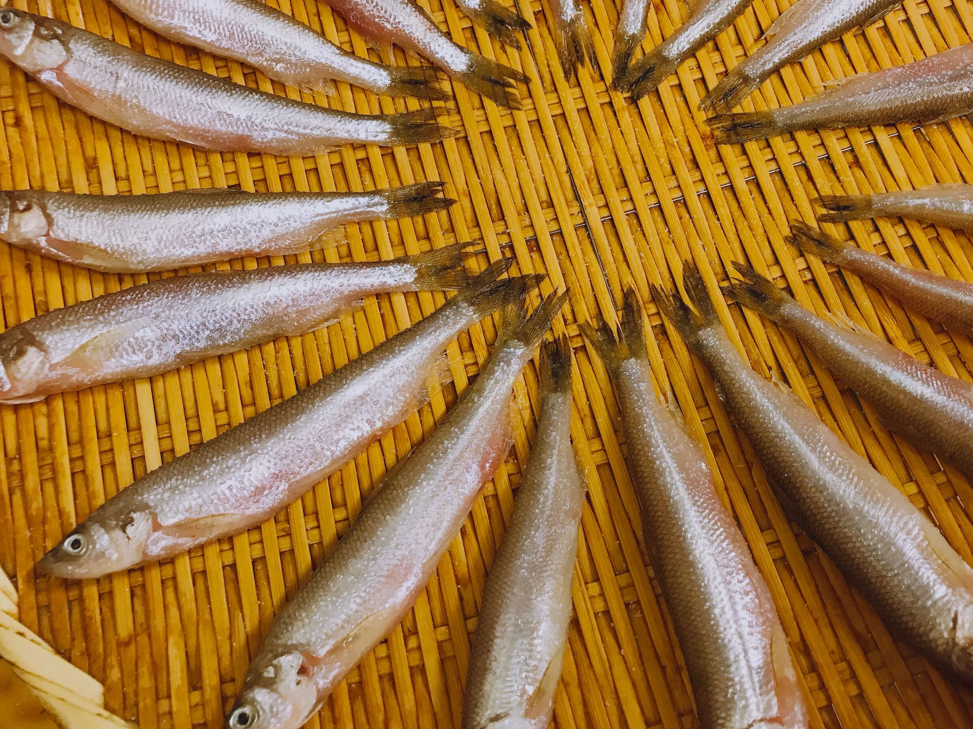 サビキで釣った小サバ＆豆アジの時短で簡単な捌き方と下処理