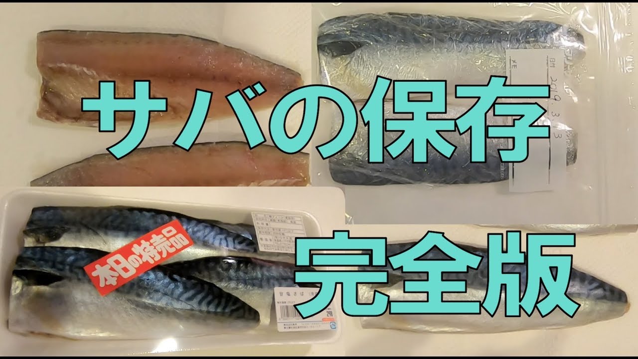 おいしく食べたい!! 回遊魚 青物・サバ､他 の持ち帰り方の正解とは？ – 関西のつりweb釣りの総合情報メディアMeME