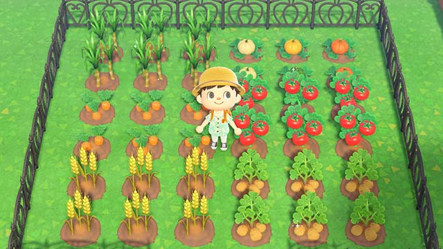 あつ森 野菜の種類と入手方法 あつまれどうぶつの森攻略wiki- 神ゲー攻略