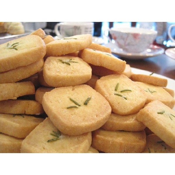 矯正治療中にワイヤーやブラケットが外れたら！放置するリスクと対処法