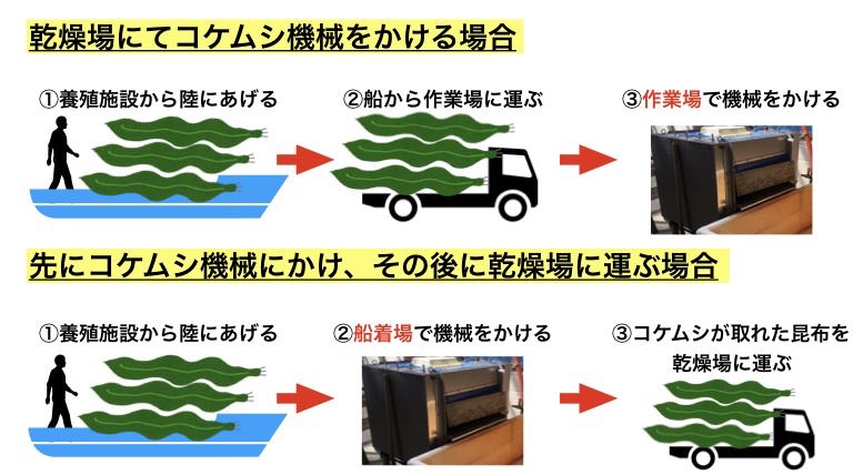 日高昆布 乾燥業務用食材の仕入れなら八面六臂