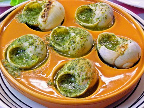 本場フランスでも、滅多に味わえない奇跡のエスカルゴ・ド・ブルゴーニュクラウドファンディング - ENjiNE エンジン