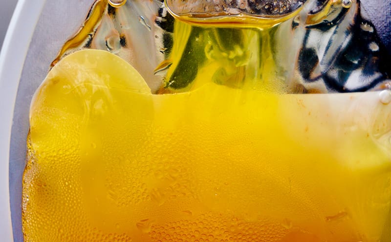 デルモンテ ミニトマト苗 「フルーツイエローEX」9cmポット ４月中旬～5月上旬発送分予約野菜の苗 , 実のなる野菜の苗 , トマトの苗日光種苗オンラインショップ 本店