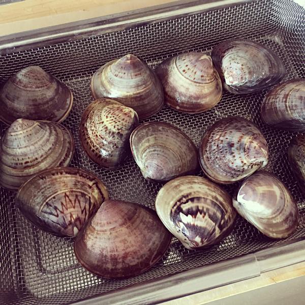 ハマグリの砂出しの仕方 と自家製らっきょうペティナイフ１本の魔法 フルーツ＆ベジタブルカッティングアーティスト®︎ 料理家越川純〜Juneのブログ