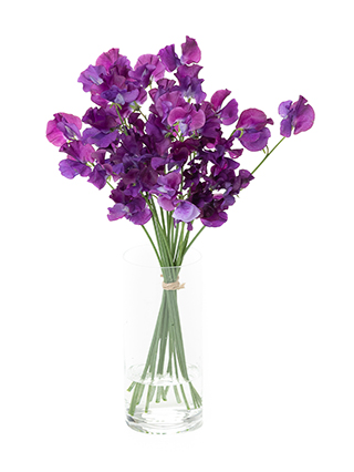 スイートピー ネイビーブルー : Atelier Eucharis ー ウェディングブーケとパリスタイルの花