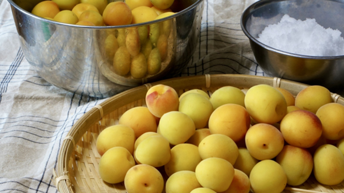 梅 はちみつ 漬け 保存袋で３日で作れる！キズ梅の救済レシピ 疲れ知らずに 簡単！梅仕事はちみつ 梅干し