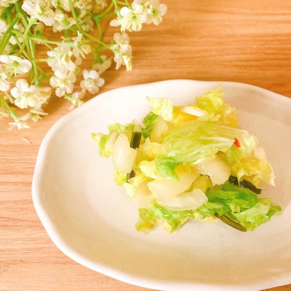 白菜の漬物！白だしで