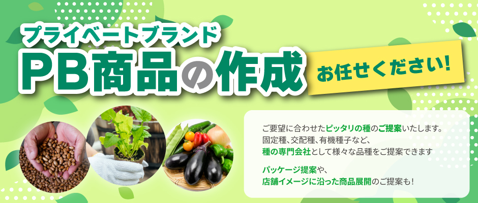 サラダほうれん草 – 商品別育て方情報 ニチノウのタネ
