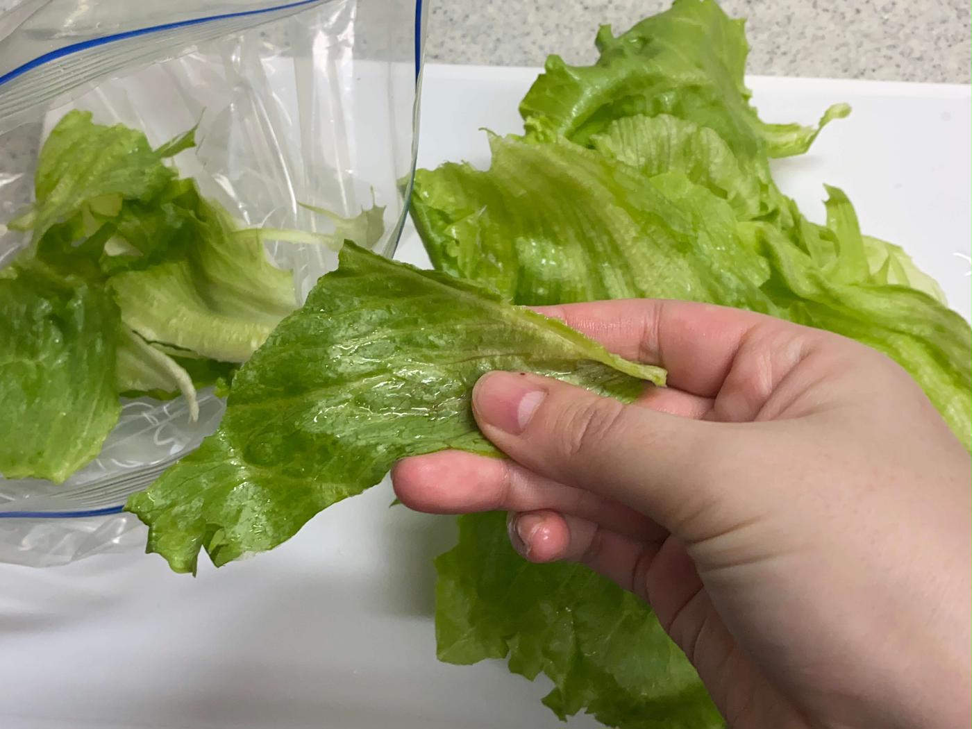 レタス野菜保存のポイント保存テクニック旭化成ホームプロダクツ