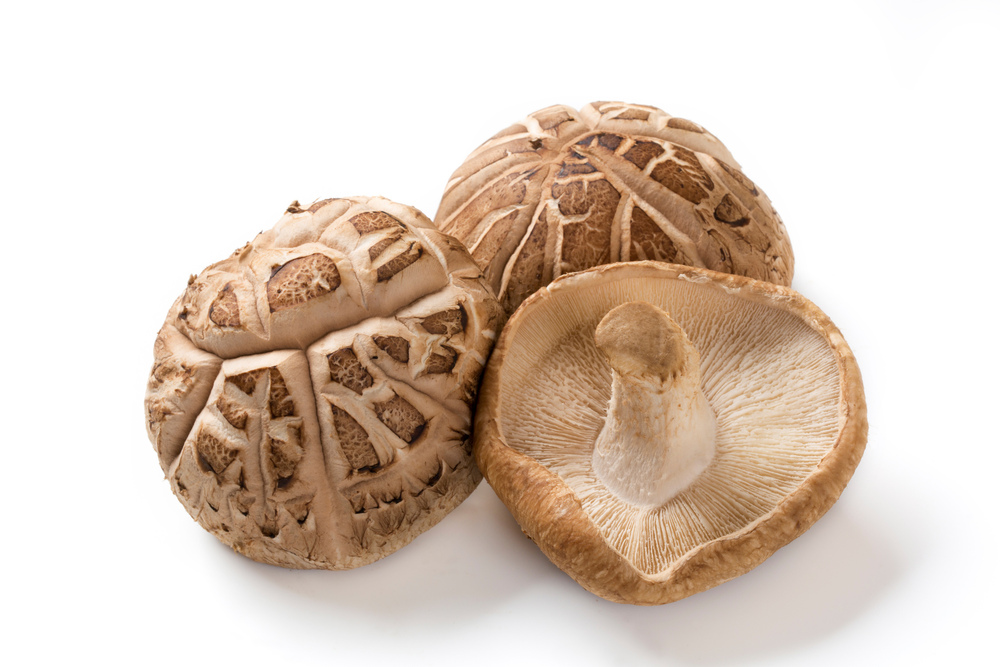 しいたけの断面の写真素材写真素材なら「写真AC」無料 フリー ダウンロードOK