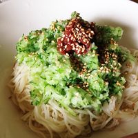 「あさイチ」おろしきゅうりのさっぱりから揚げ