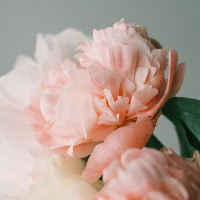 「芍薬ブーケ Peony」のアイデア 160 件芍薬 ブーケ, ブーケ, 花