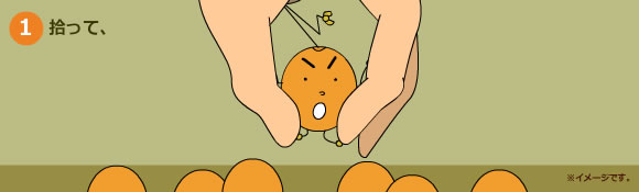 秋の風景としても、秋の味覚としても業務用野菜のベジクル