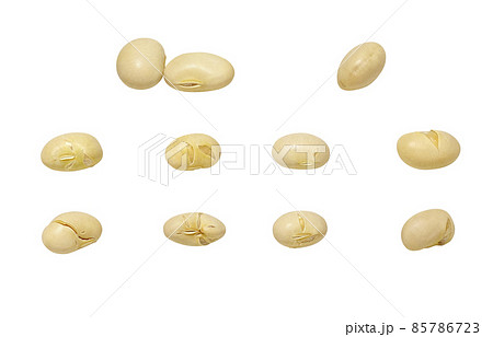 升に入った福豆 煎り大豆 の水彩イラスト水彩の挿し絵屋さん