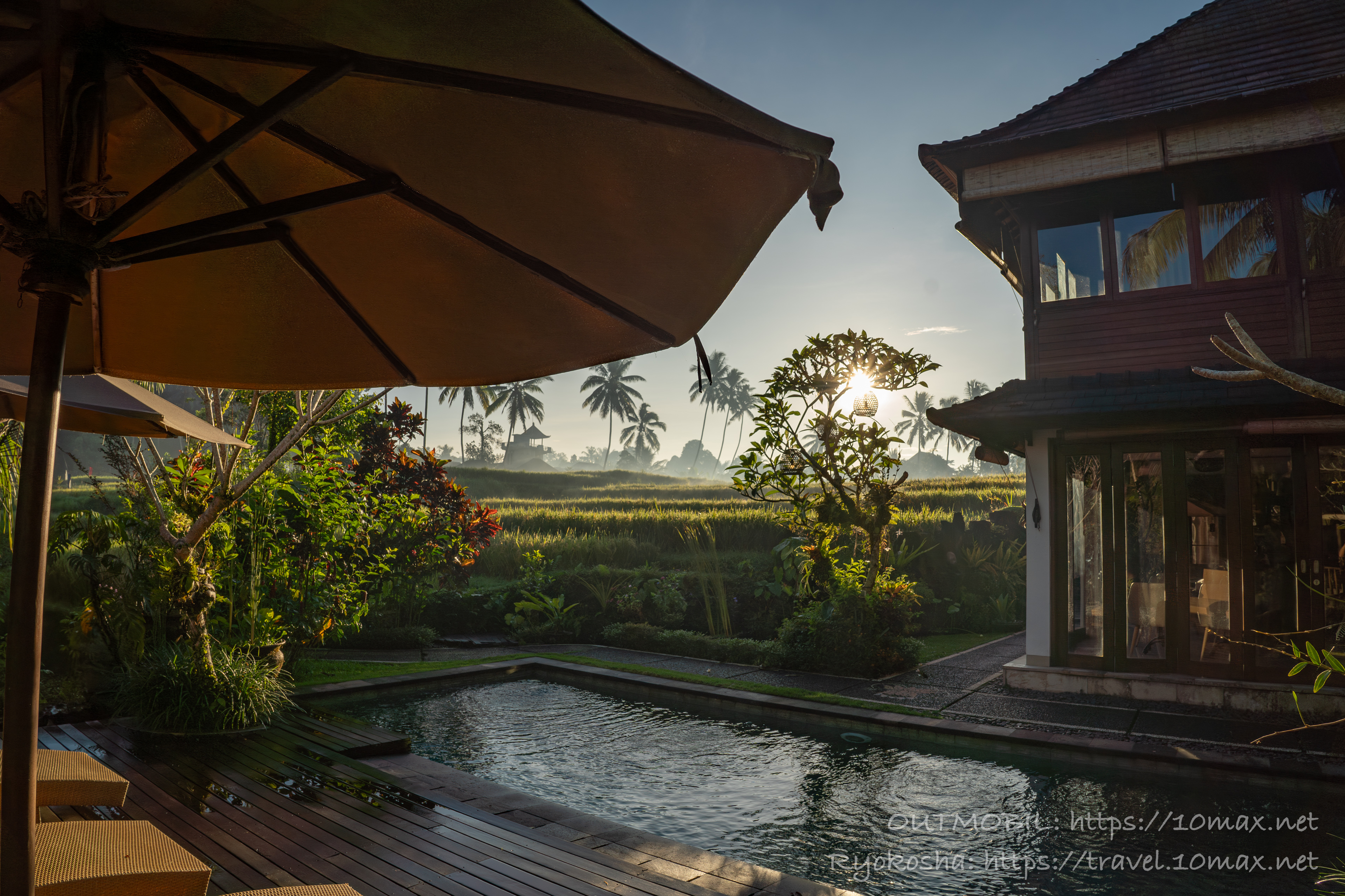 ❤︎ テガラランのライステラス近くで 入ったカフェ☕️ 席からの景色が絶景すぎて 景色が絵画みたい✨ こちらのカフェはこの日がオープンだったみたいで、 偶然入れてラッキーでした😆 残念なことにお店の名前は覚えてません💧 こちらに行ってみたい方は ライステラス
