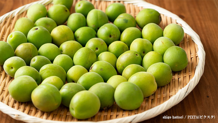 失敗しない・超簡単 梅の保存・追熟方法❣️すぐに加工できなくても新鮮さを保つ方法