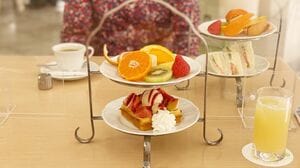 足立区 ザ・ニッポンの朝ご飯「焼き魚定食」がワンコインで食べられる！ 「しんぱち食堂」の朝メニューがお得すぎる！号外NET 足立区