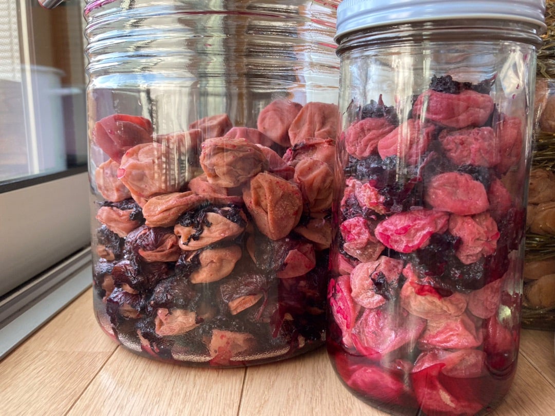 梅干しの作り方＜赤紫蘇漬け＞編