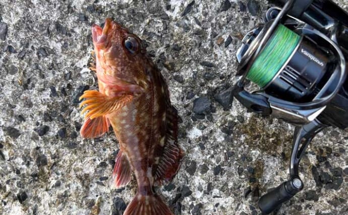 クエン酸 1水和物1本 500g大阪魂通販モノタロウ