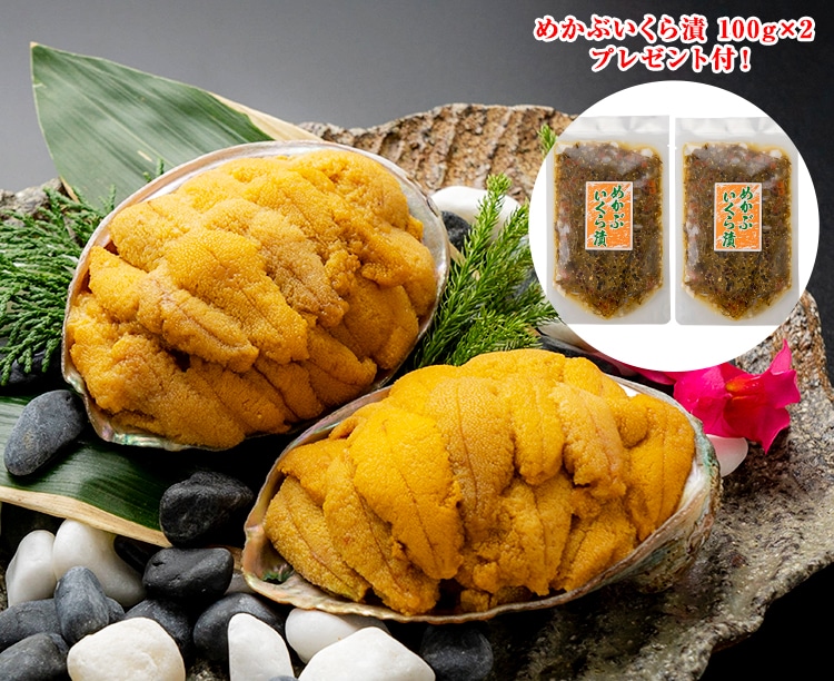 磯焼けとウニについて、漁師やウニ業者と直接現場を見る！磯焼けの現状や原因・対策を学ぶソーシャルエッグ