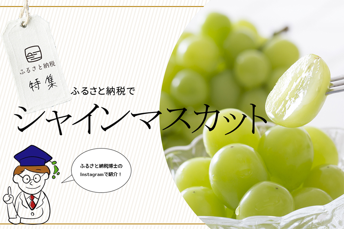2025年 ご予約開始 シャインマスカット 約500g 1房入送料無料 ※一部地域を除く大粒・種なし・皮ごと食べれる美味しいぶどう！糖度驚きの17度以上！葡萄ブドウ ぶどう ハウス栽培 高糖度 マスカット kr無添加あんぽ柿や梅うどん、お得な